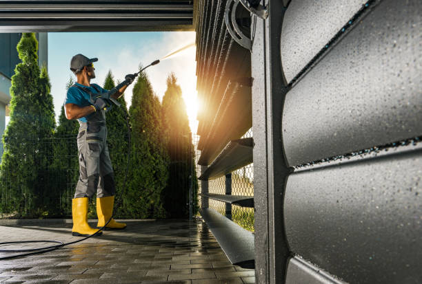 Best Solar Panel Cleaning  in Kingston, IL